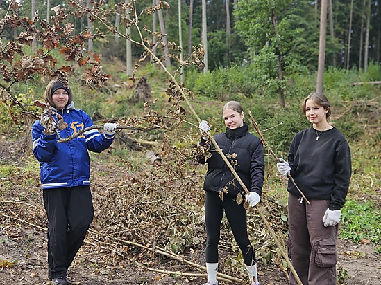 9.C klases skolēni meža sakopšanas darbos Tērvetes dabas parkā