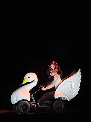 10.V klase dodas uz teātra izrādi "Meža gulbji"